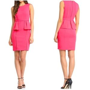 NWT BCBG Maxazria Ashleigh Dress in Light Geranium